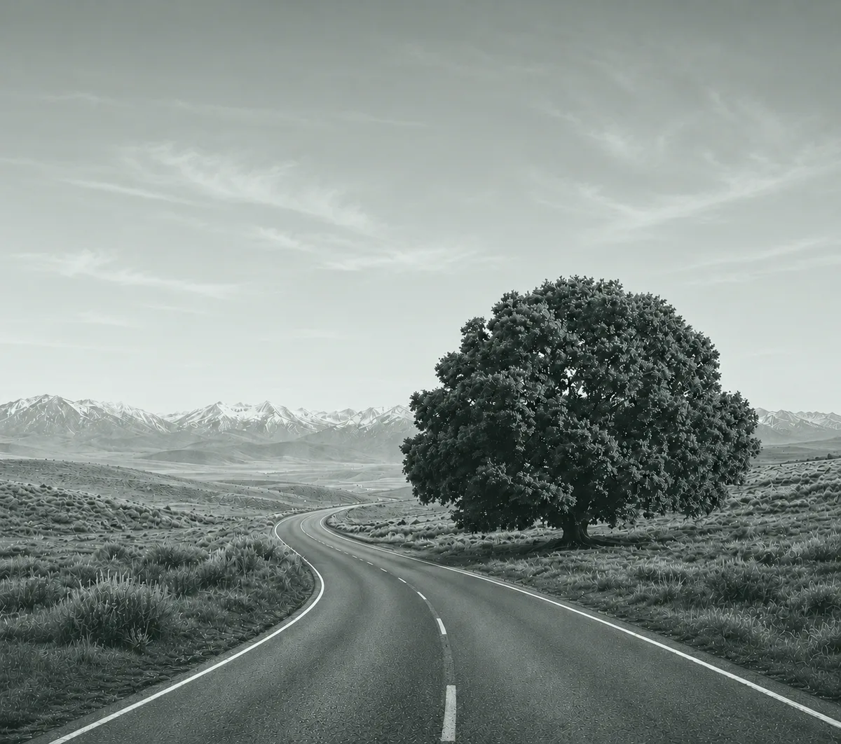 A winding dirt road crossing open plains toward a lone tree and distant mountains — the long road to a bitcoin standard.